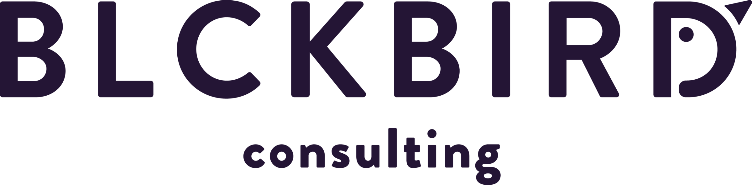 BLCKBIRD Consulting